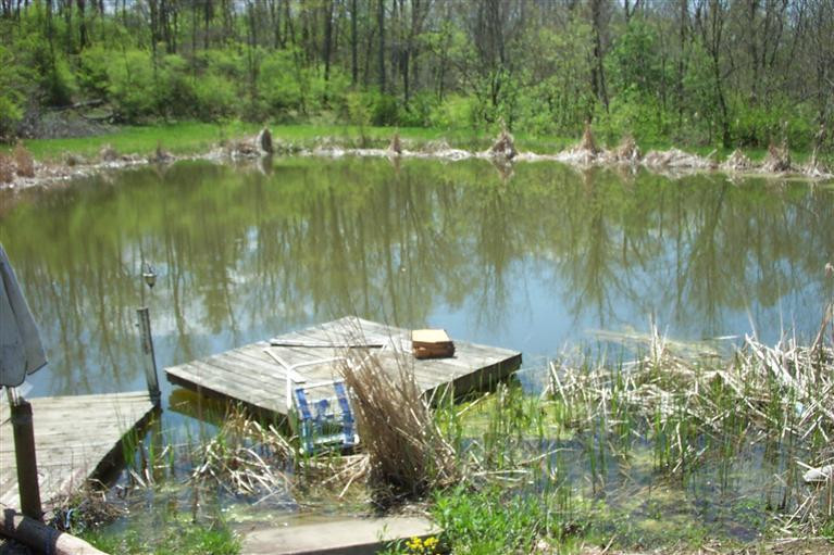 0 Eagle Mill Ford Road Dry Ridge, KY 41035 - Photo 6 of 6