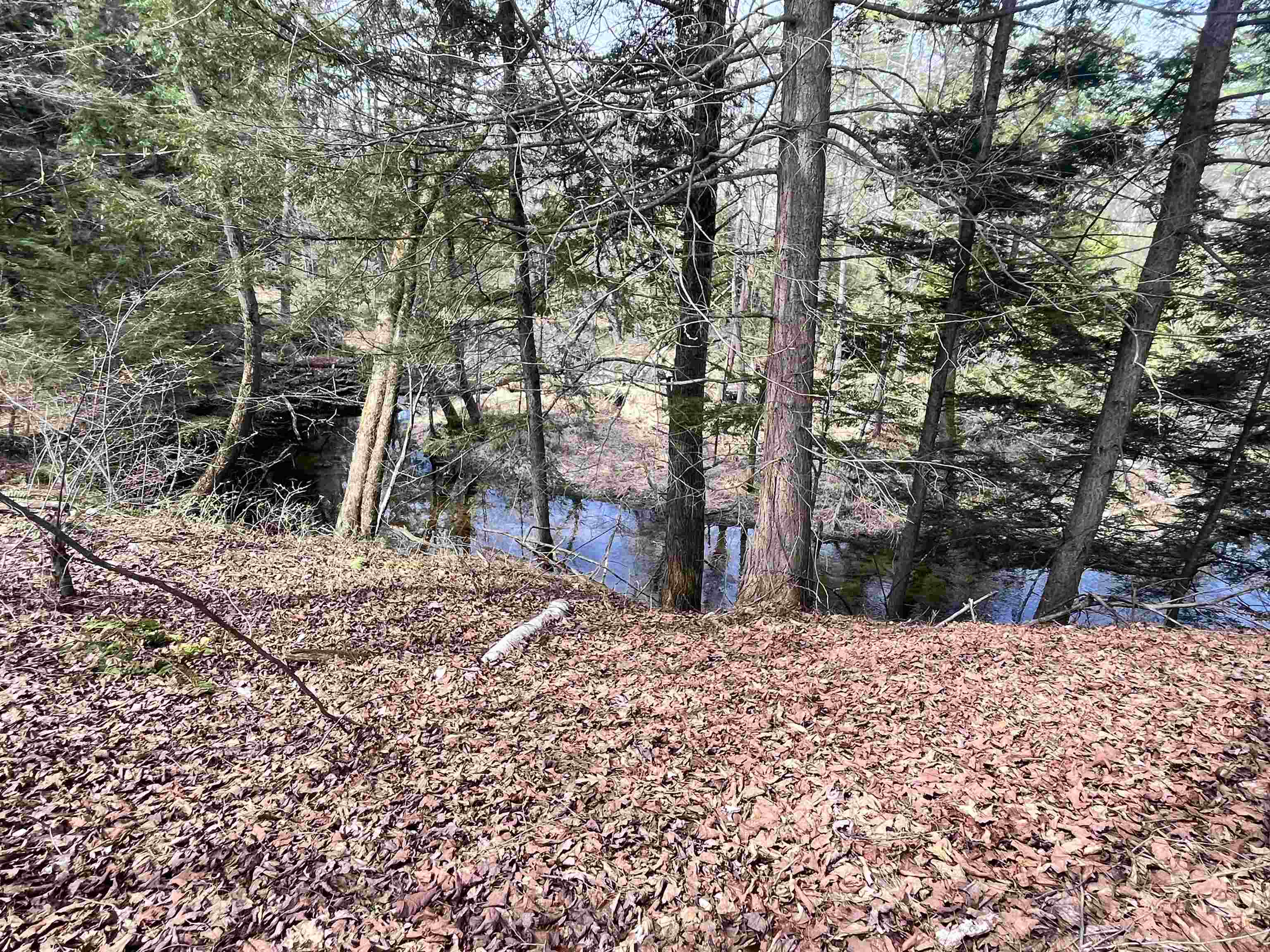 2391 McConnell Road Brandon, VT 05733 - Photo 45 of 56