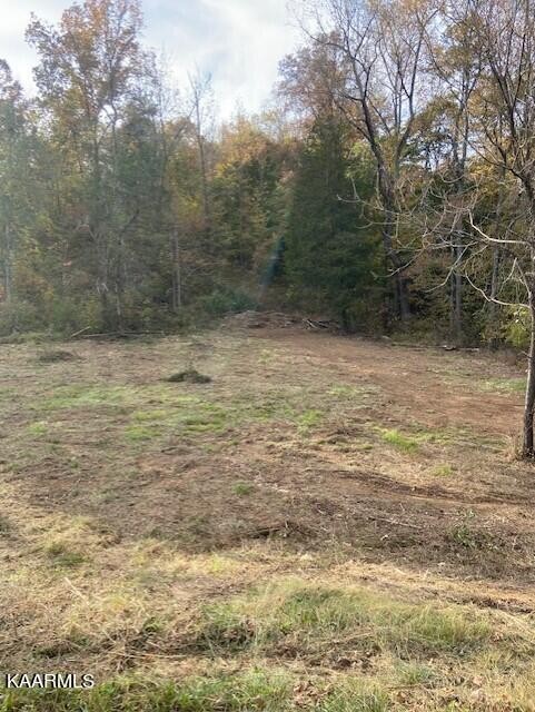 1 County Road 675 Riceville, TN 37370 - Photo 1 of 6 Gallery Image 1