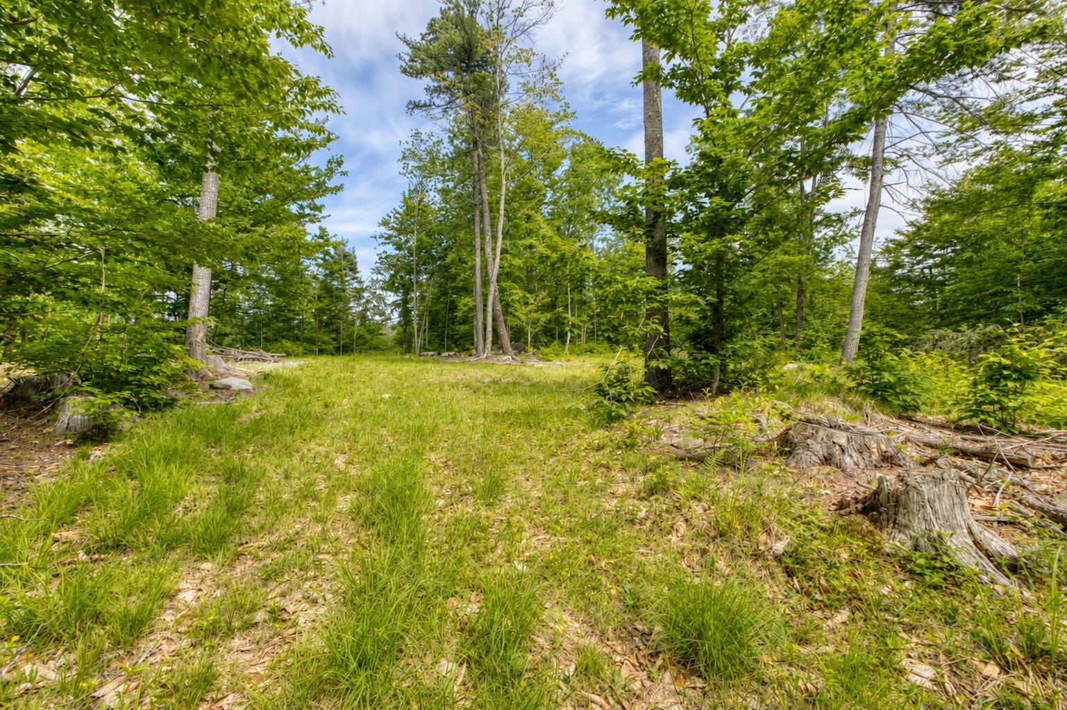 160 Browns Ridge Road Ossipee, NH 03864 - Photo 59 of 59