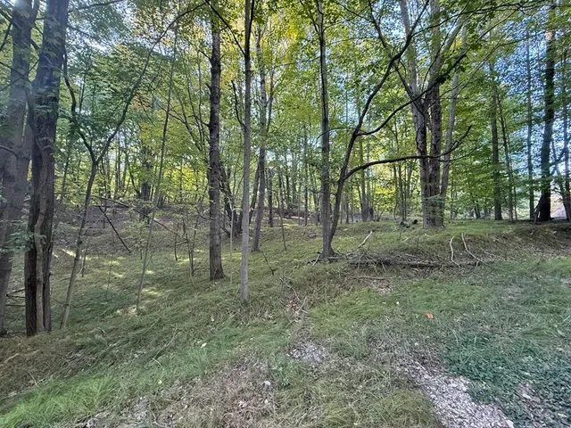 $18,500 | 10389 Medicine Bow Trail, Stanwood, MI 49346