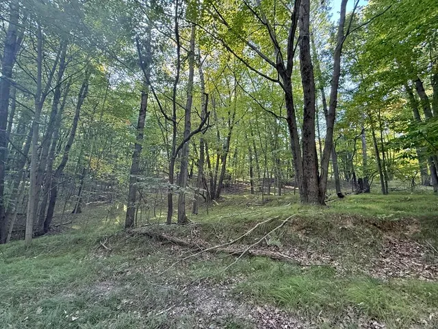 $18,500 | 10389 Medicine Bow Trail, Stanwood, MI 49346