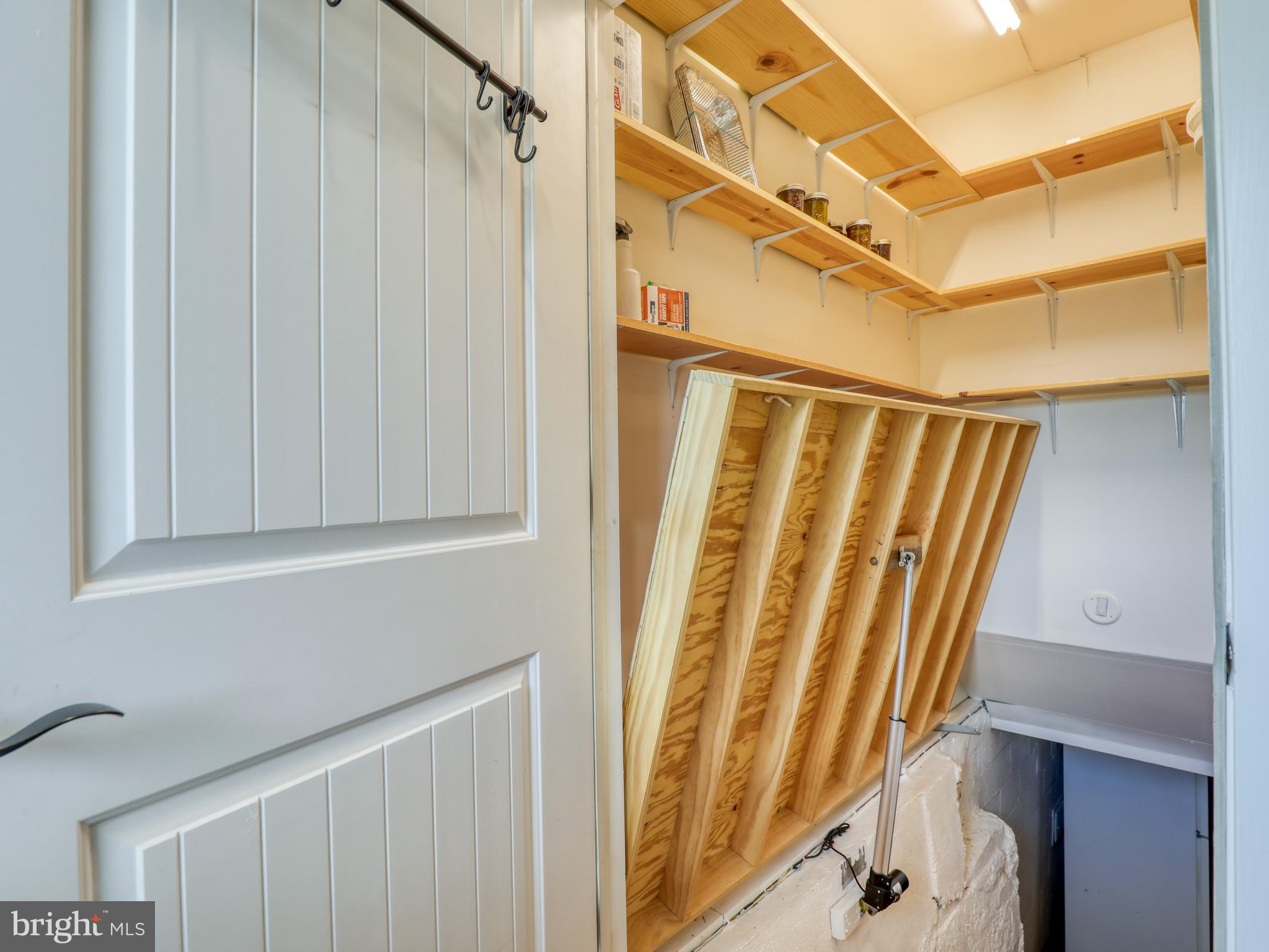 902 Forest Grove Road Middletown, VA 22645 - Photo 50 of 84 In the basement entrance you will find shelves