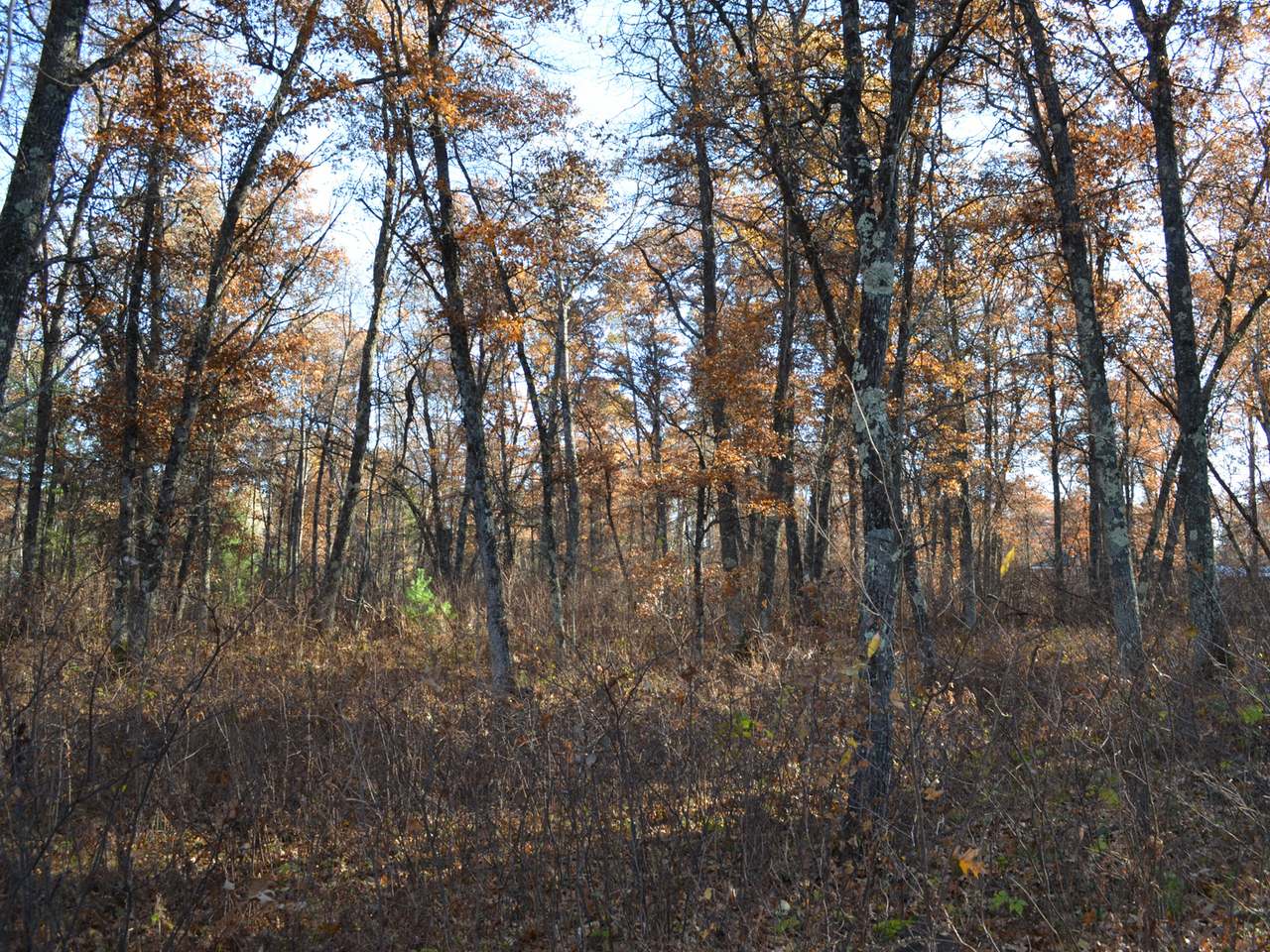Lot 12 Wind Song Road Tomahawk, WI 54487 - Photo 18 of 20 Gallery Image 18