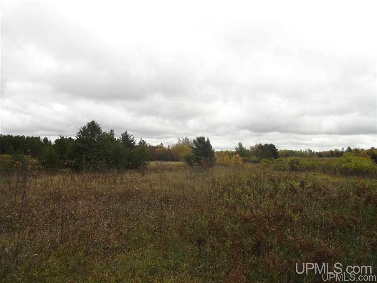 Tbd South County Line Road Watersmeet, MI 49969 - Photo 15 of 16