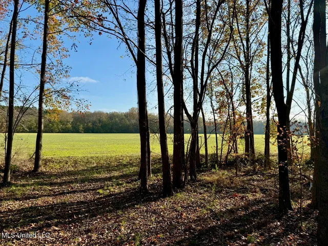 $269,000 | 2 D O Road, Lamar, MS 38642