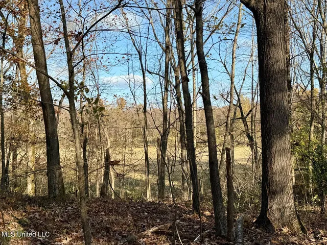 $269,000 | 2 D O Road, Lamar, MS 38642