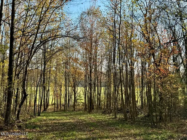 $269,000 | 2 D O Road, Lamar, MS 38642