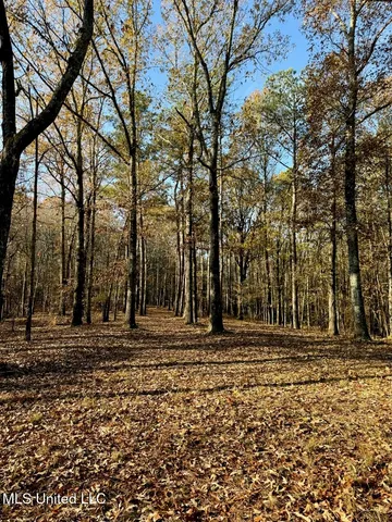 $269,000 | 2 D O Road, Lamar, MS 38642