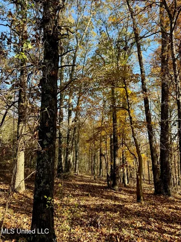 $269,000 | 2 D O Road, Lamar, MS 38642