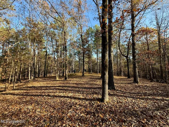 $269,000 | 2 D O Road, Lamar, MS 38642