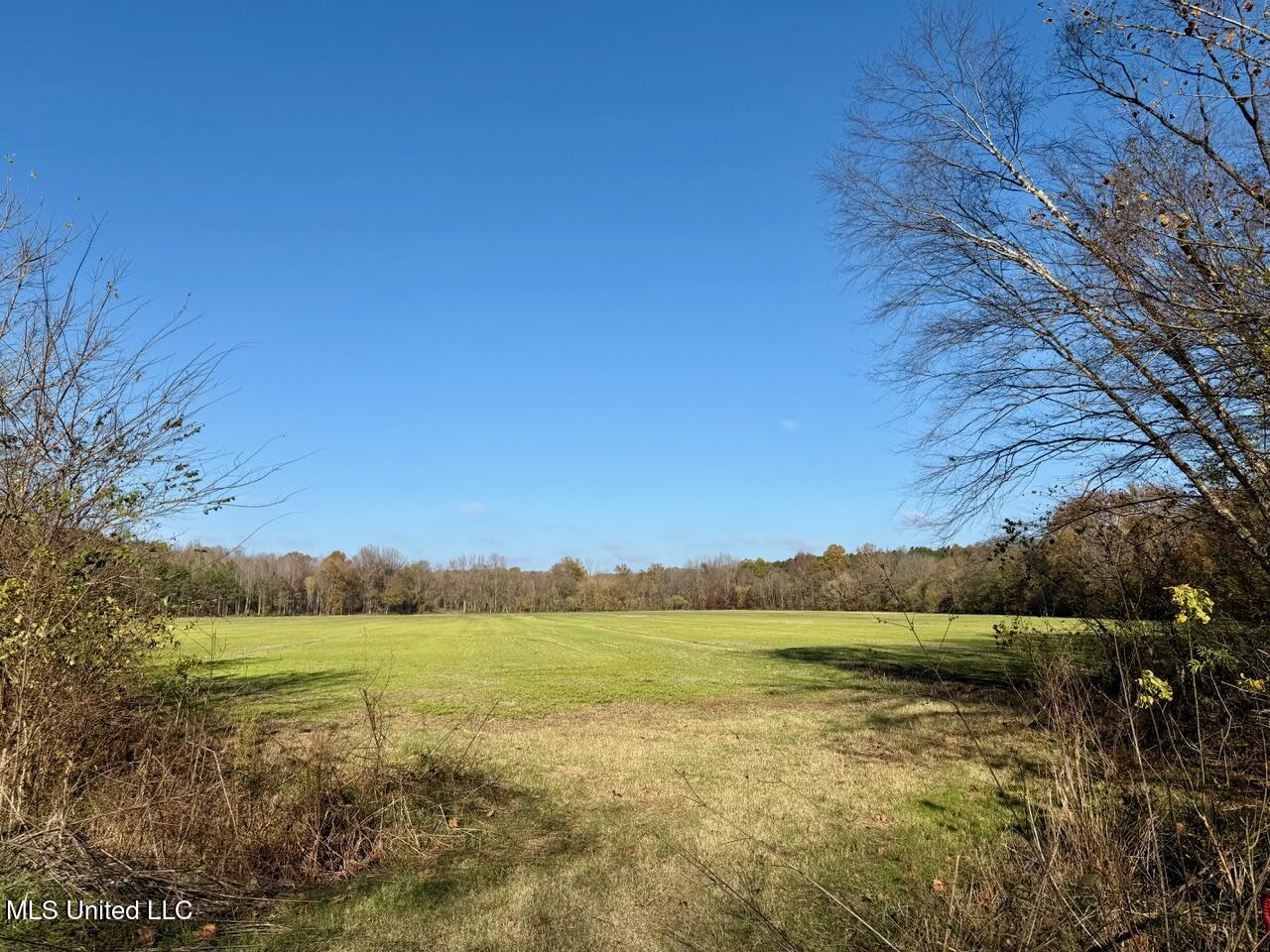 2 D O Road Lamar, MS 38642 - Photo 45 of 98 IMG_0190