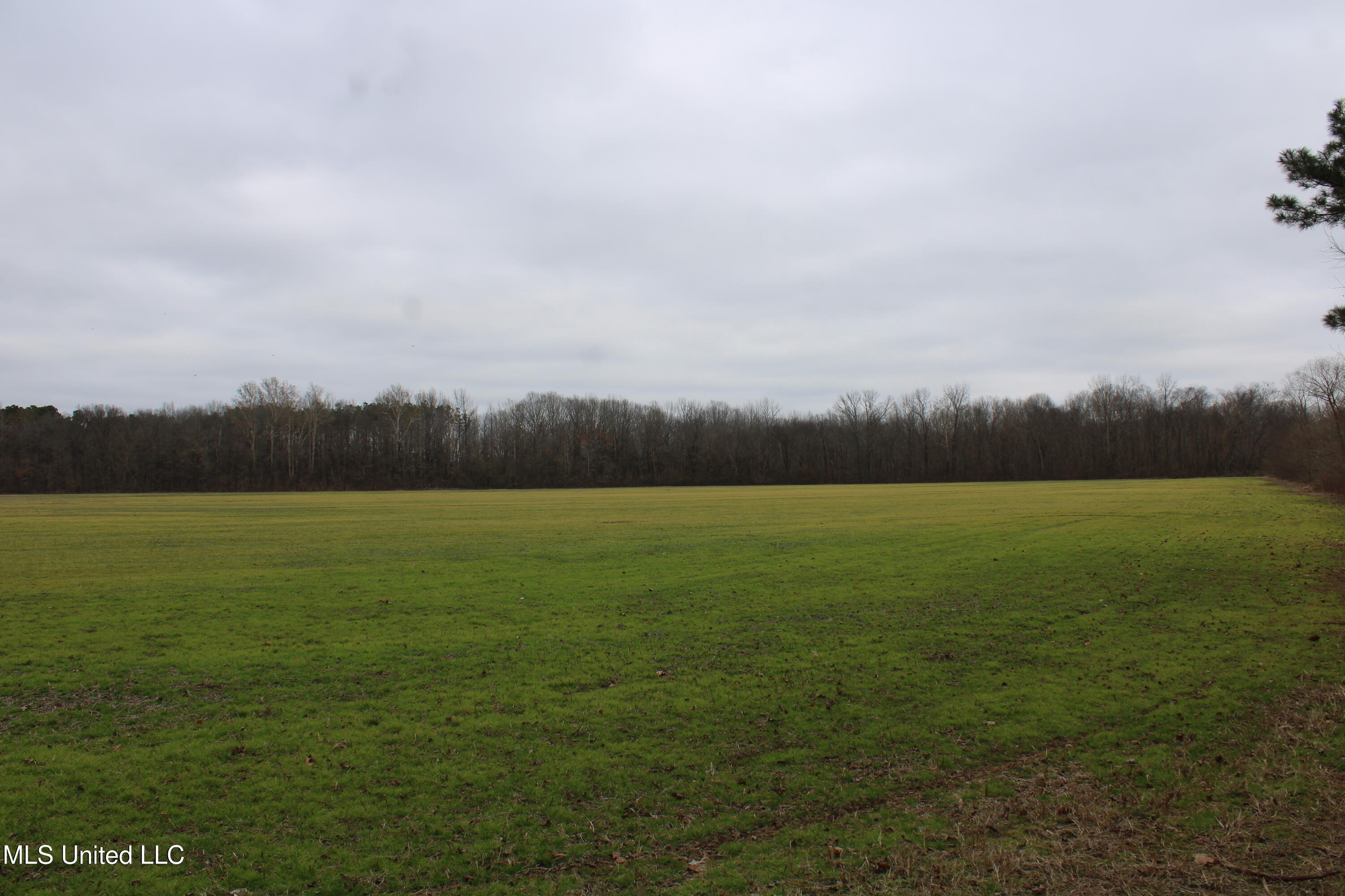 2 D O Road Lamar, MS 38642 - Photo 50 of 98 IMG_5271