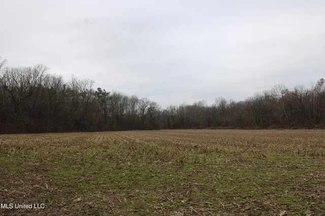 $269,000 | 2 D O Road, Lamar, MS 38642