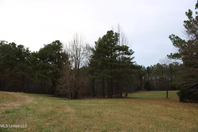 $269,000 | 2 D O Road, Lamar, MS 38642