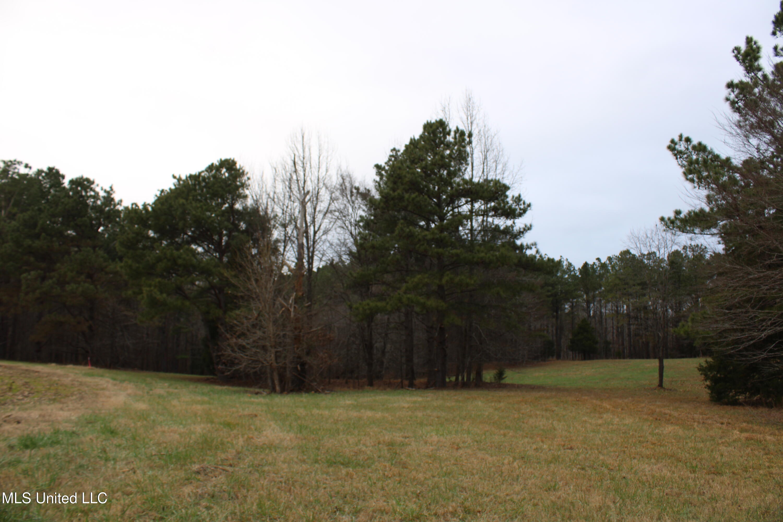 2 D O Road Lamar, MS 38642 - Photo 74 of 98 IMG_5295