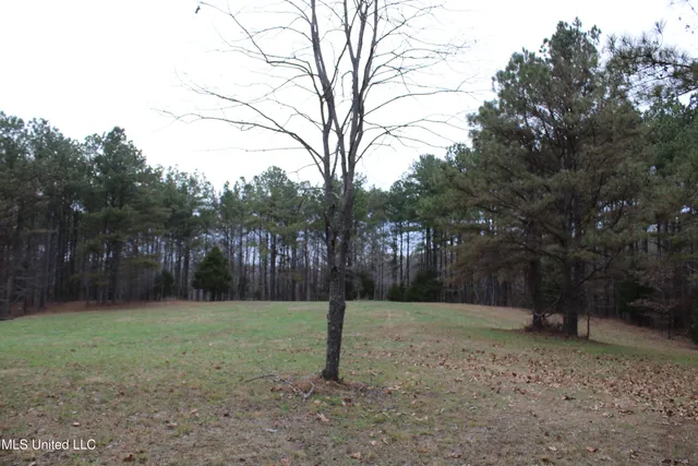 $269,000 | 2 D O Road, Lamar, MS 38642