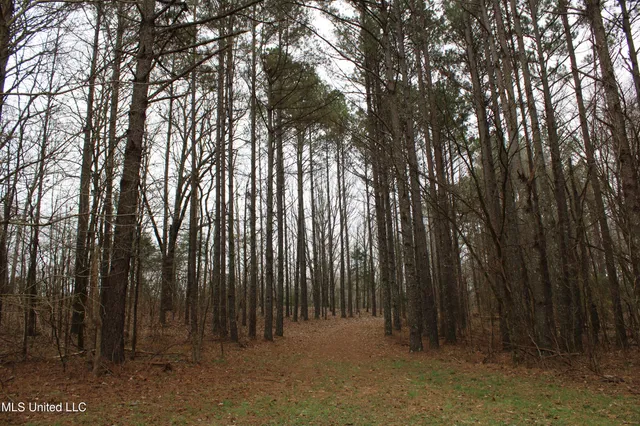 $269,000 | 2 D O Road, Lamar, MS 38642