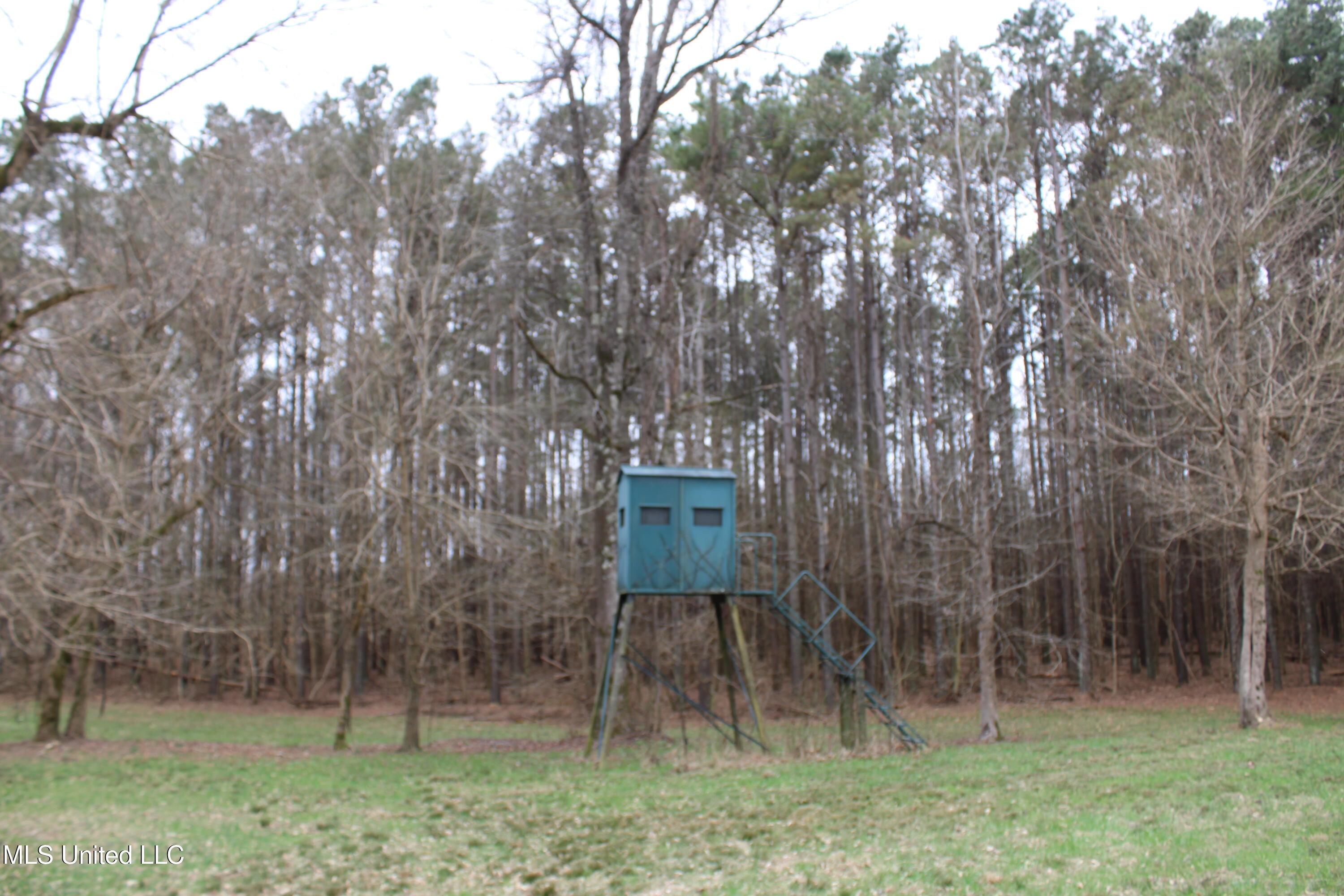 2 D O Road Lamar, MS 38642 - Photo 91 of 98 IMG_5312