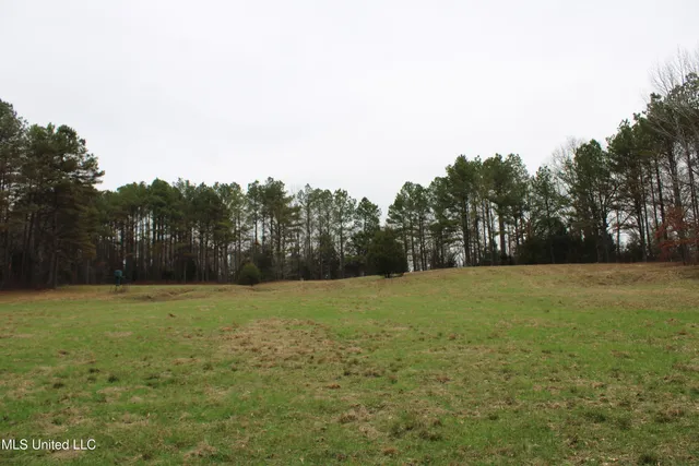 $269,000 | 2 D O Road, Lamar, MS 38642