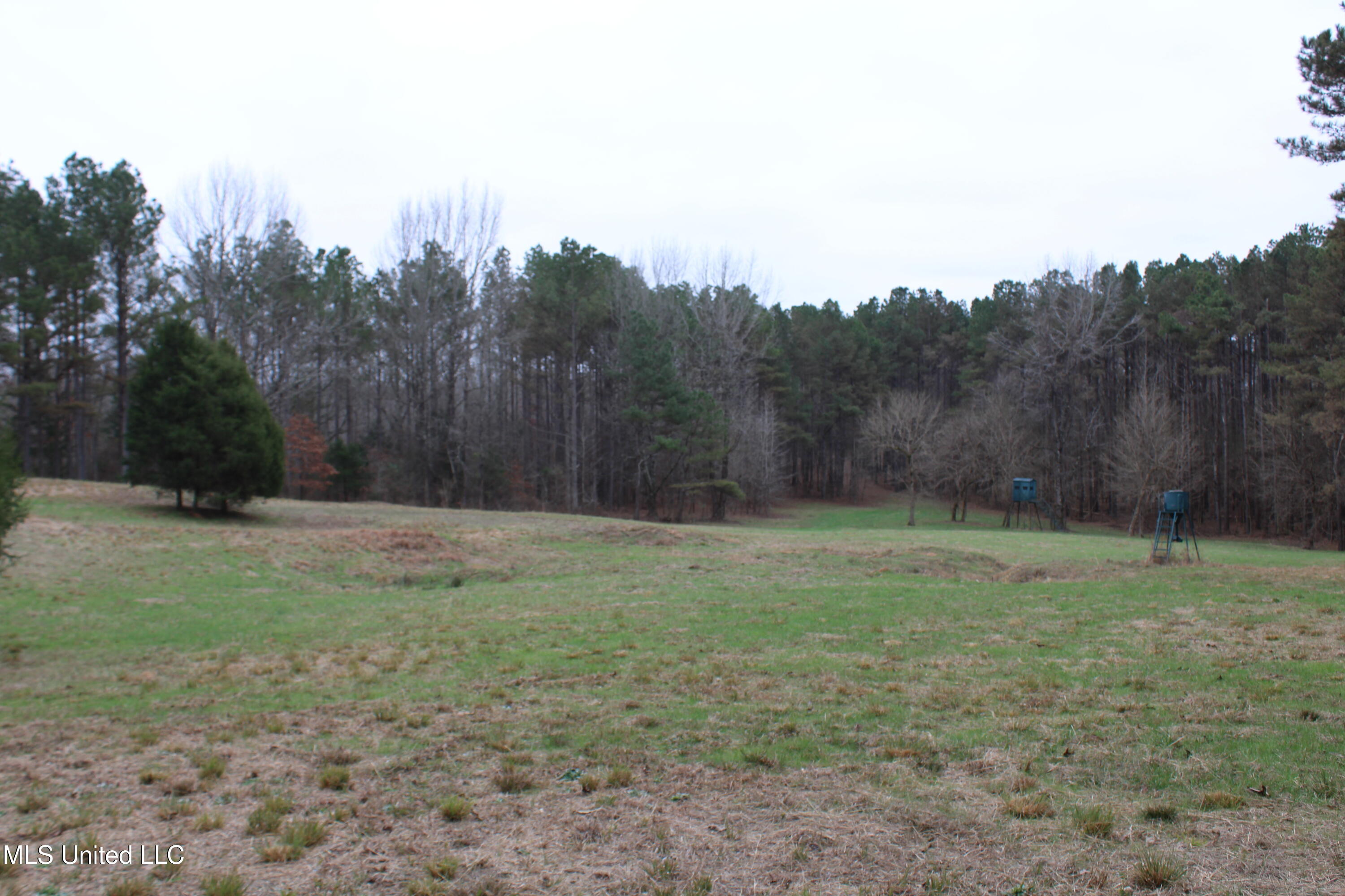 2 D O Road Lamar, MS 38642 - Photo 93 of 98 IMG_5314