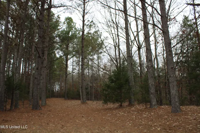 $269,000 | 2 D O Road, Lamar, MS 38642