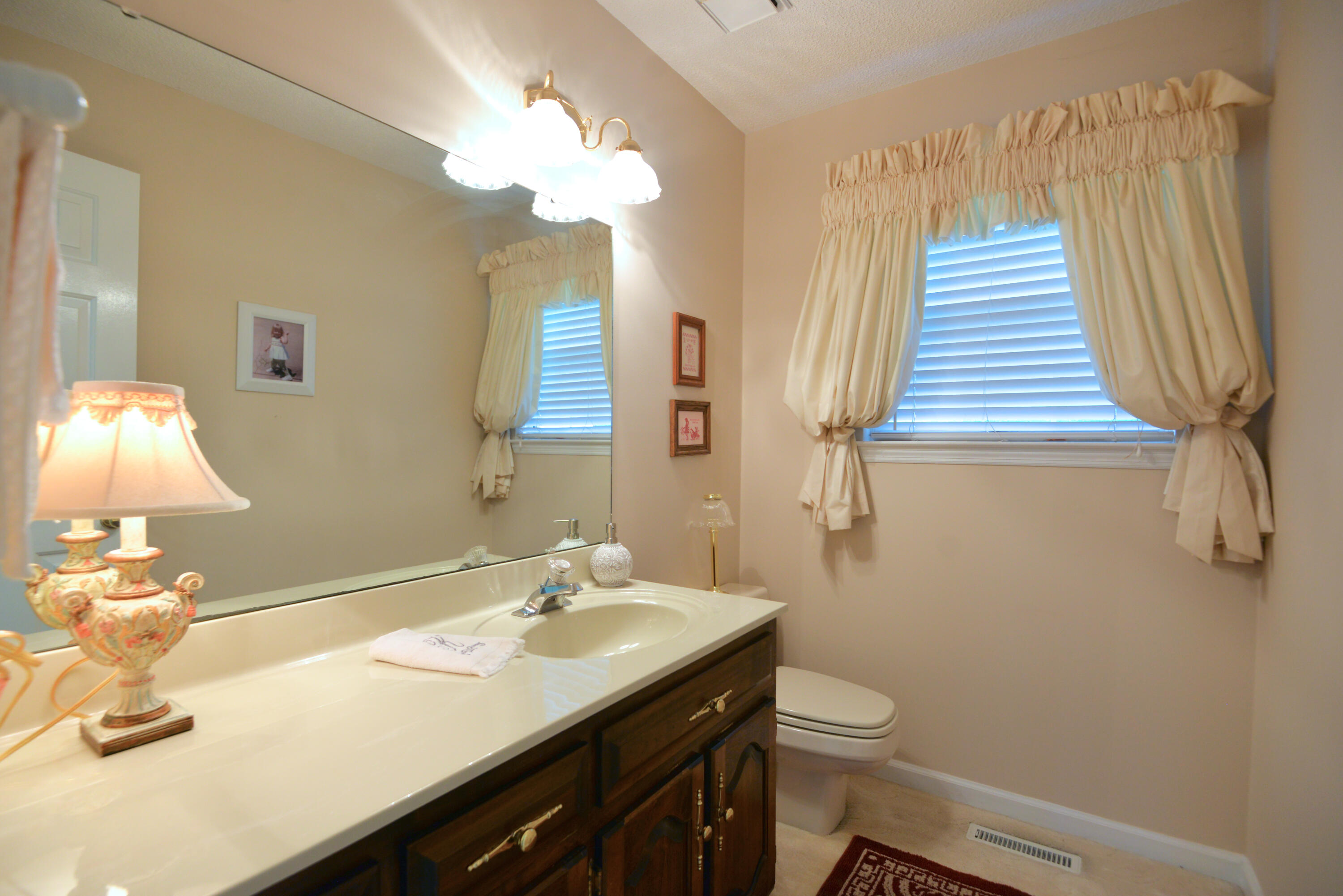 113 Masters Road Hixson, TN 37343 - Photo 14 of 42 Powder room