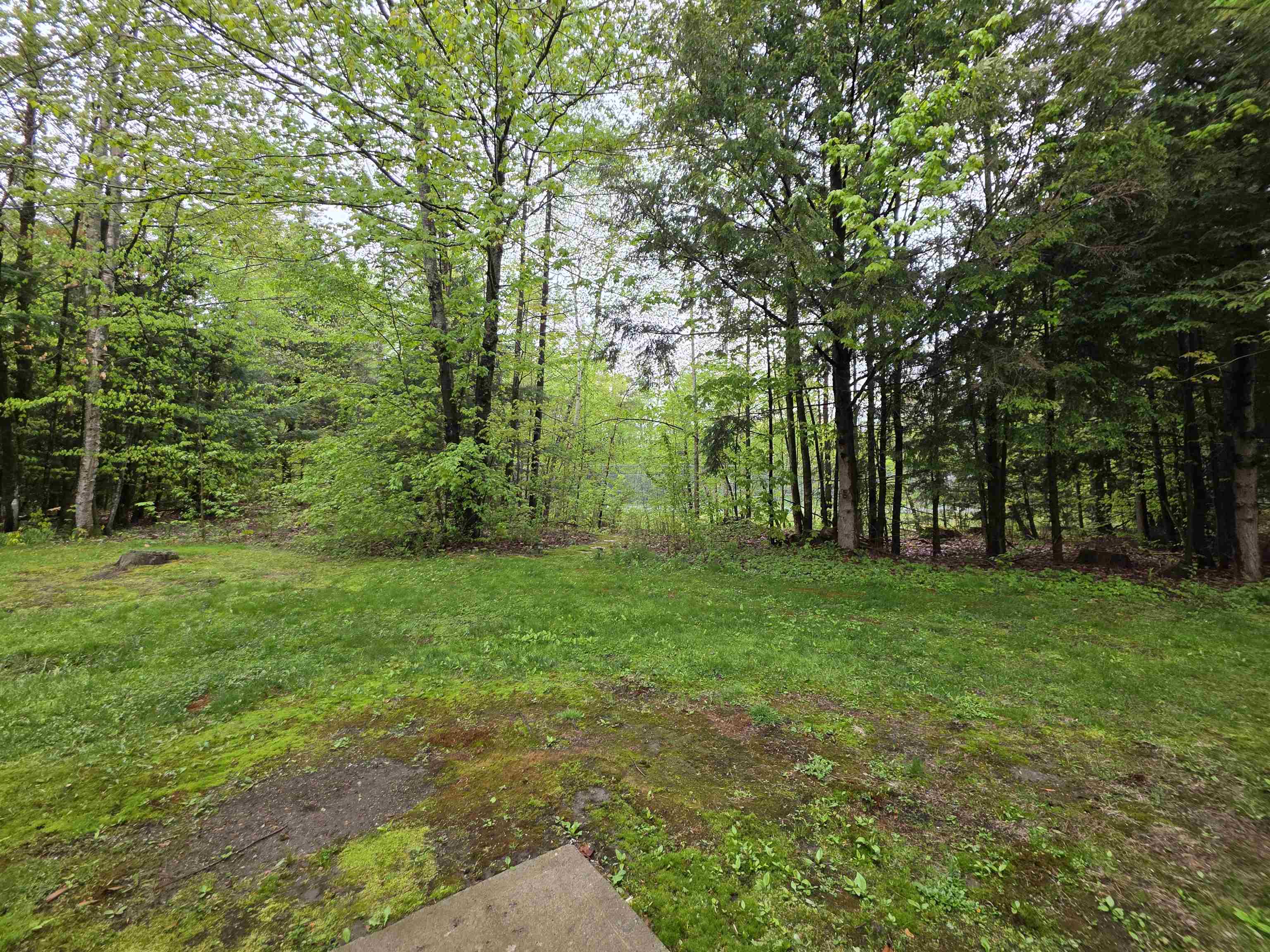 48 C Starbird Road Jericho, VT 05465 - Photo 57 of 58