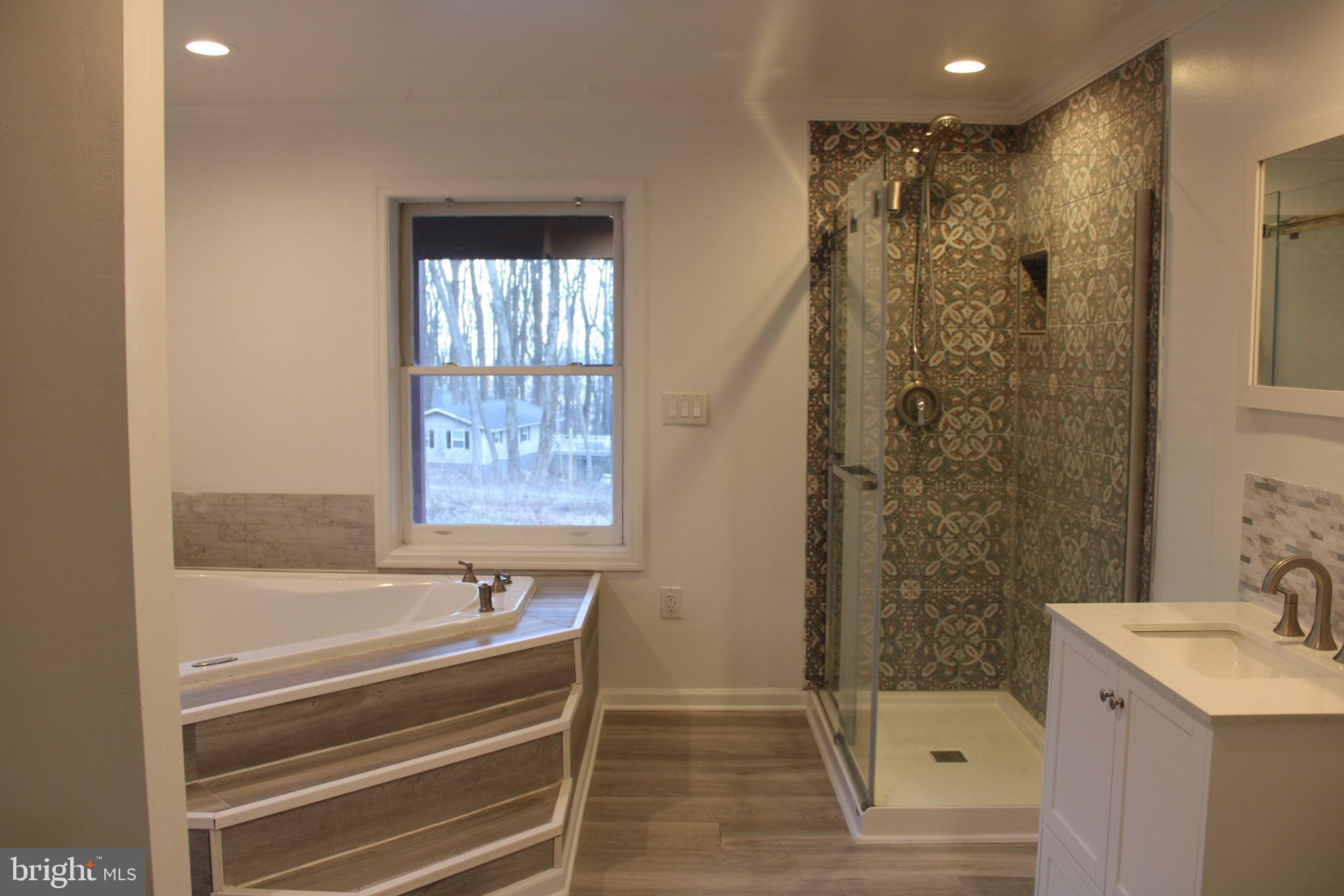 a bathroom with a shower and a sink