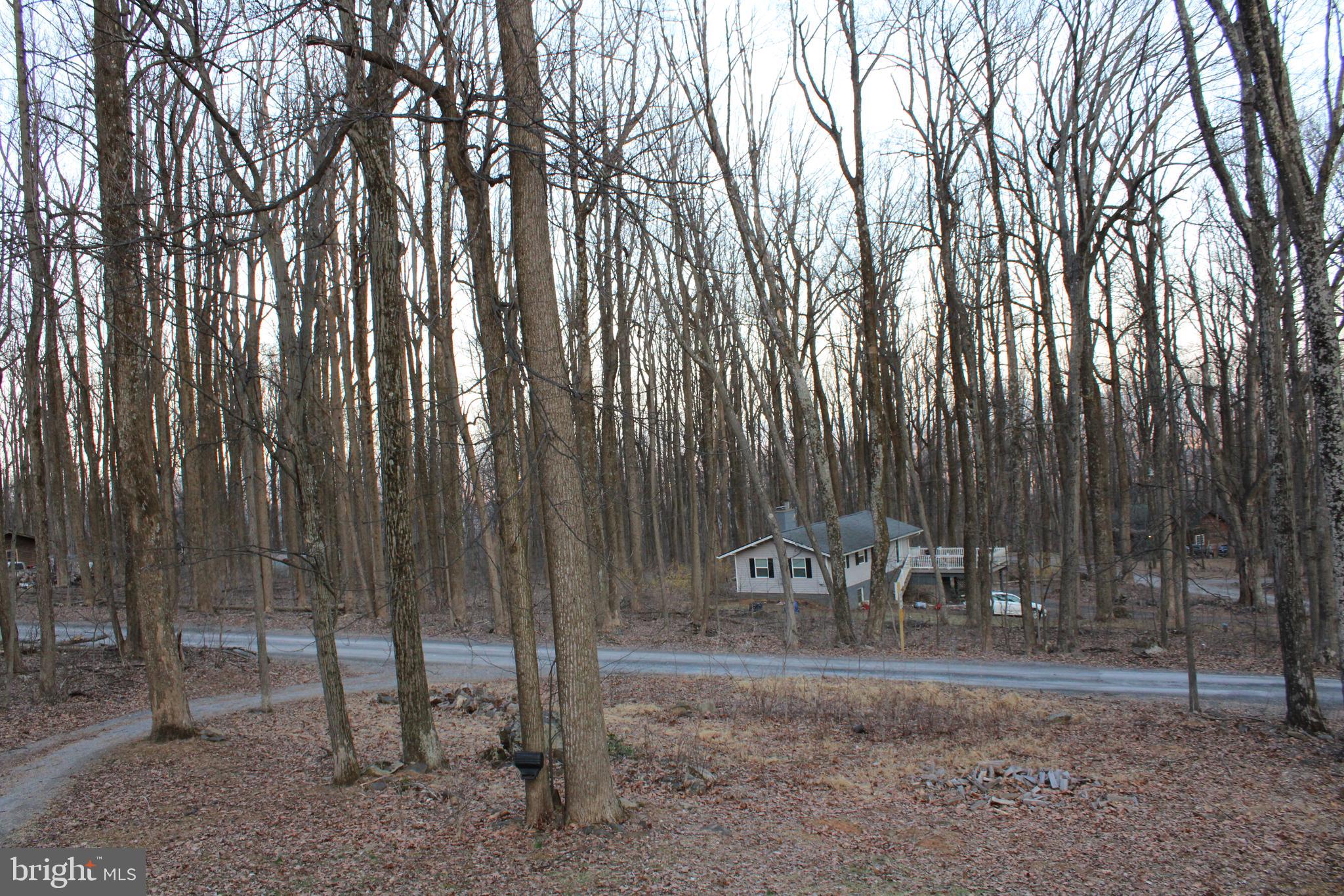 28 Henry Way Linden, VA 22642 - Photo 14 of 85
