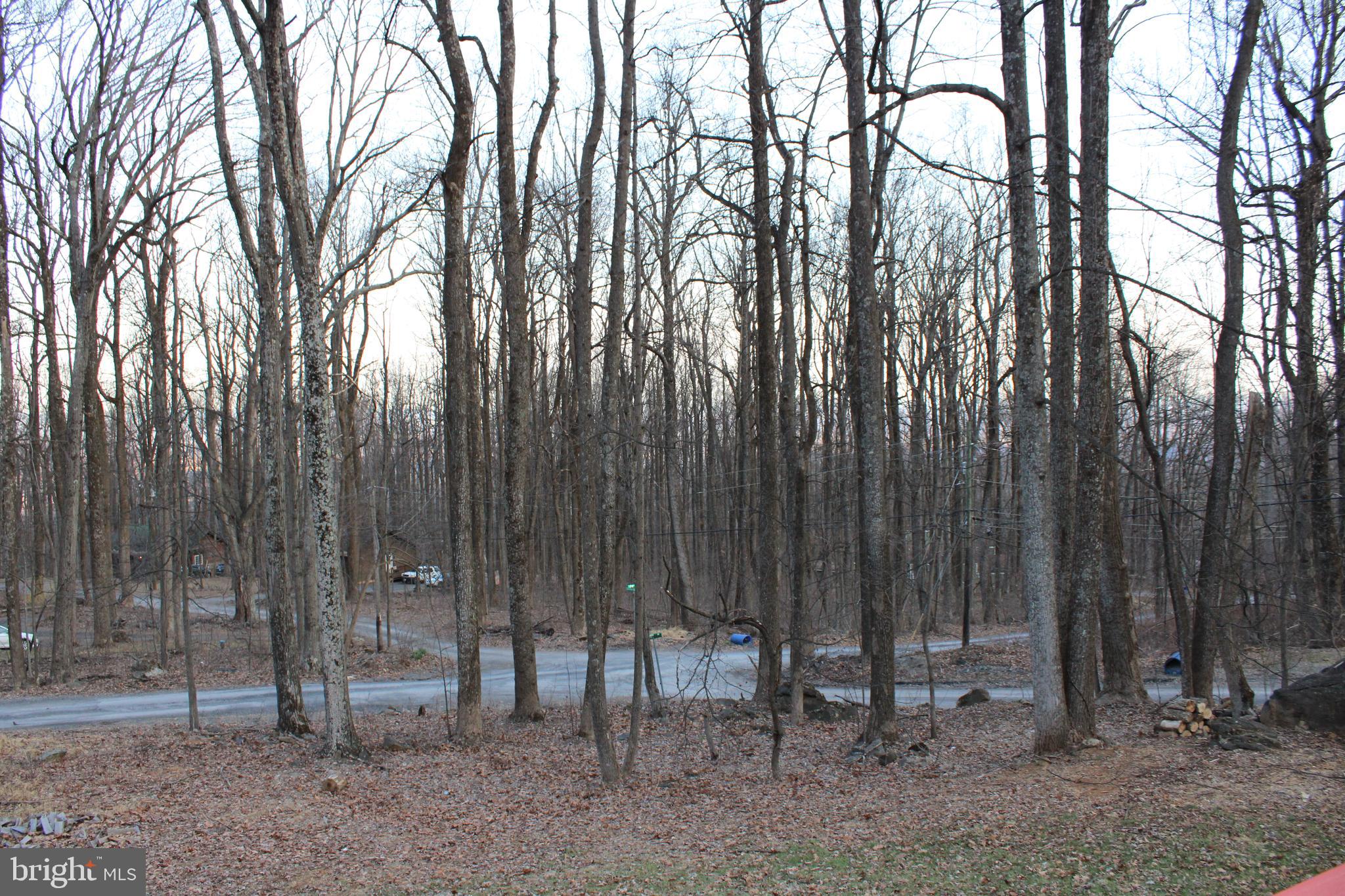 28 Henry Way Linden, VA 22642 - Photo 15 of 85 a view of outdoor space with deck and trees