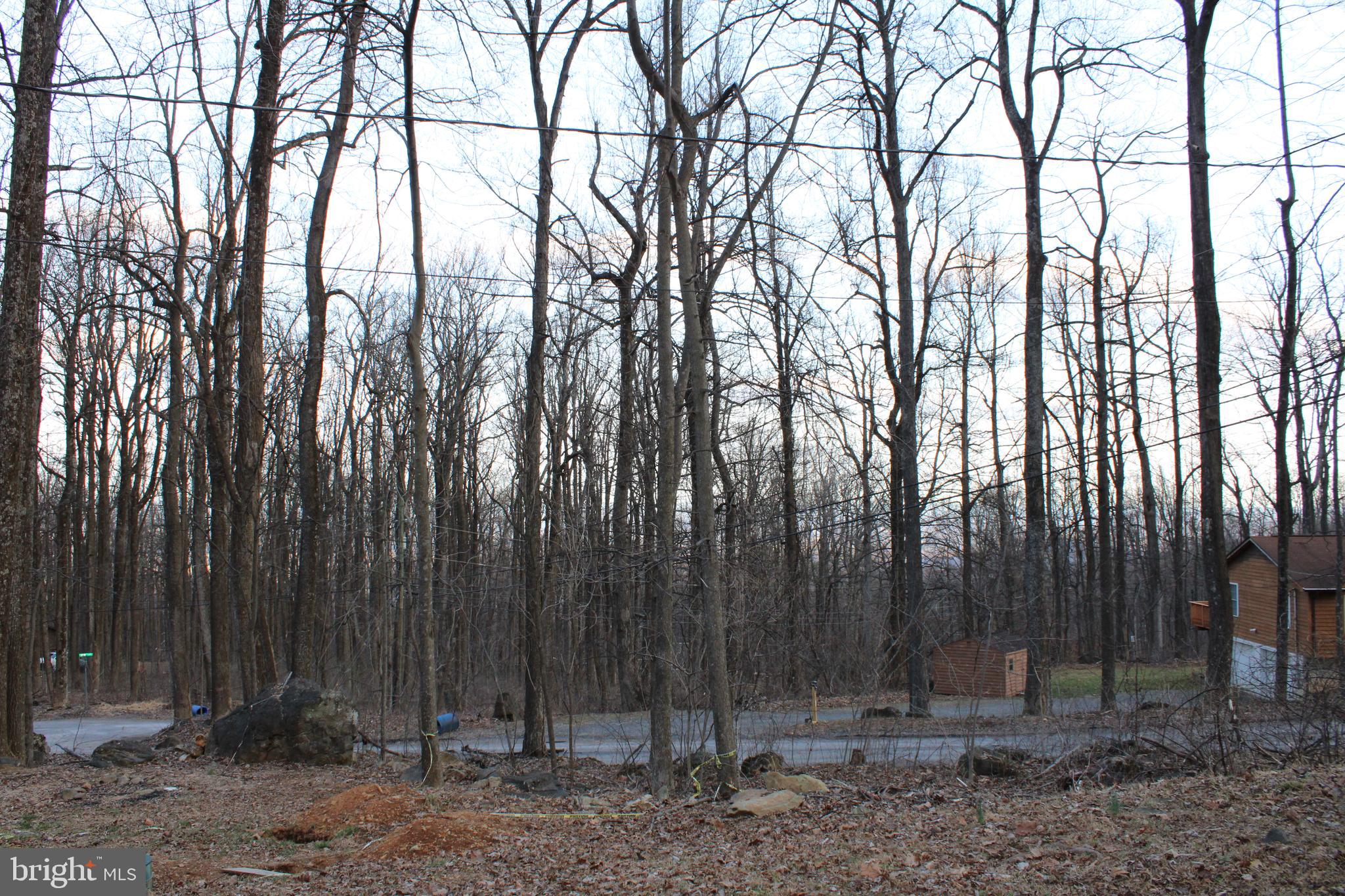 28 Henry Way Linden, VA 22642 - Photo 81 of 85