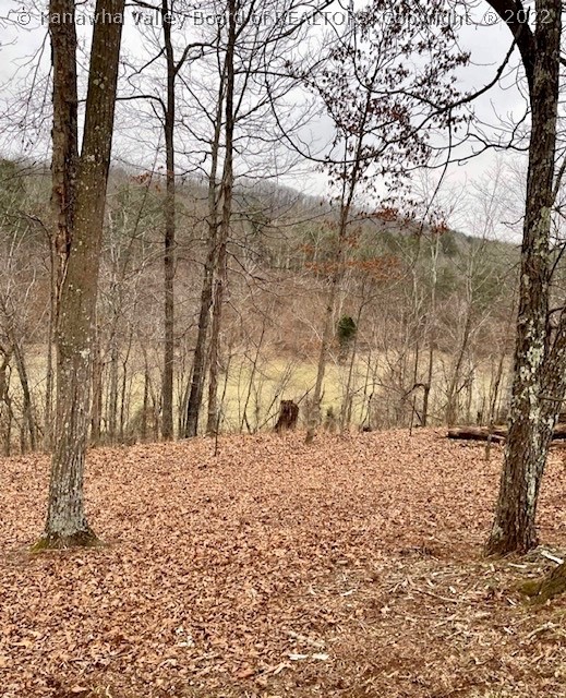 1417 Casto Road Evans, WV 25241 - Photo 25 of 25 Gallery Image 25