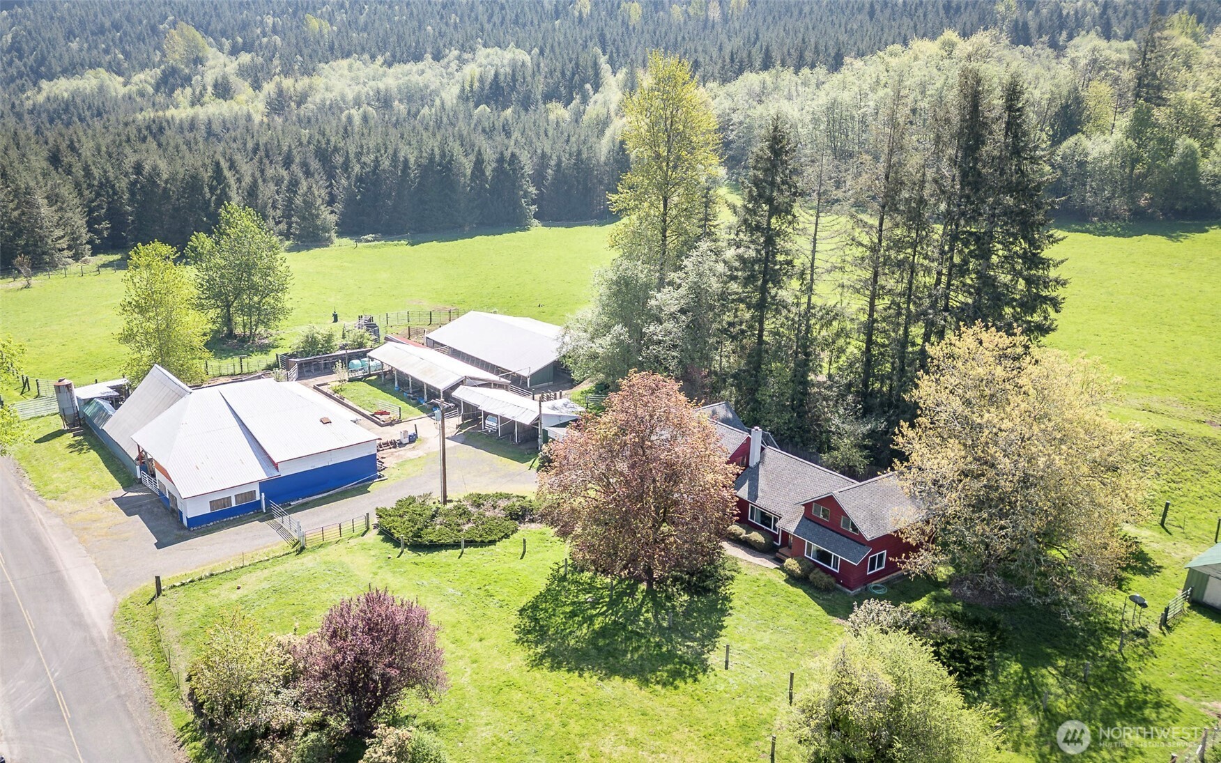 296 Dodge Road Morton, WA 98356 - Photo 2 of 24 a view of yard with outdoor seating