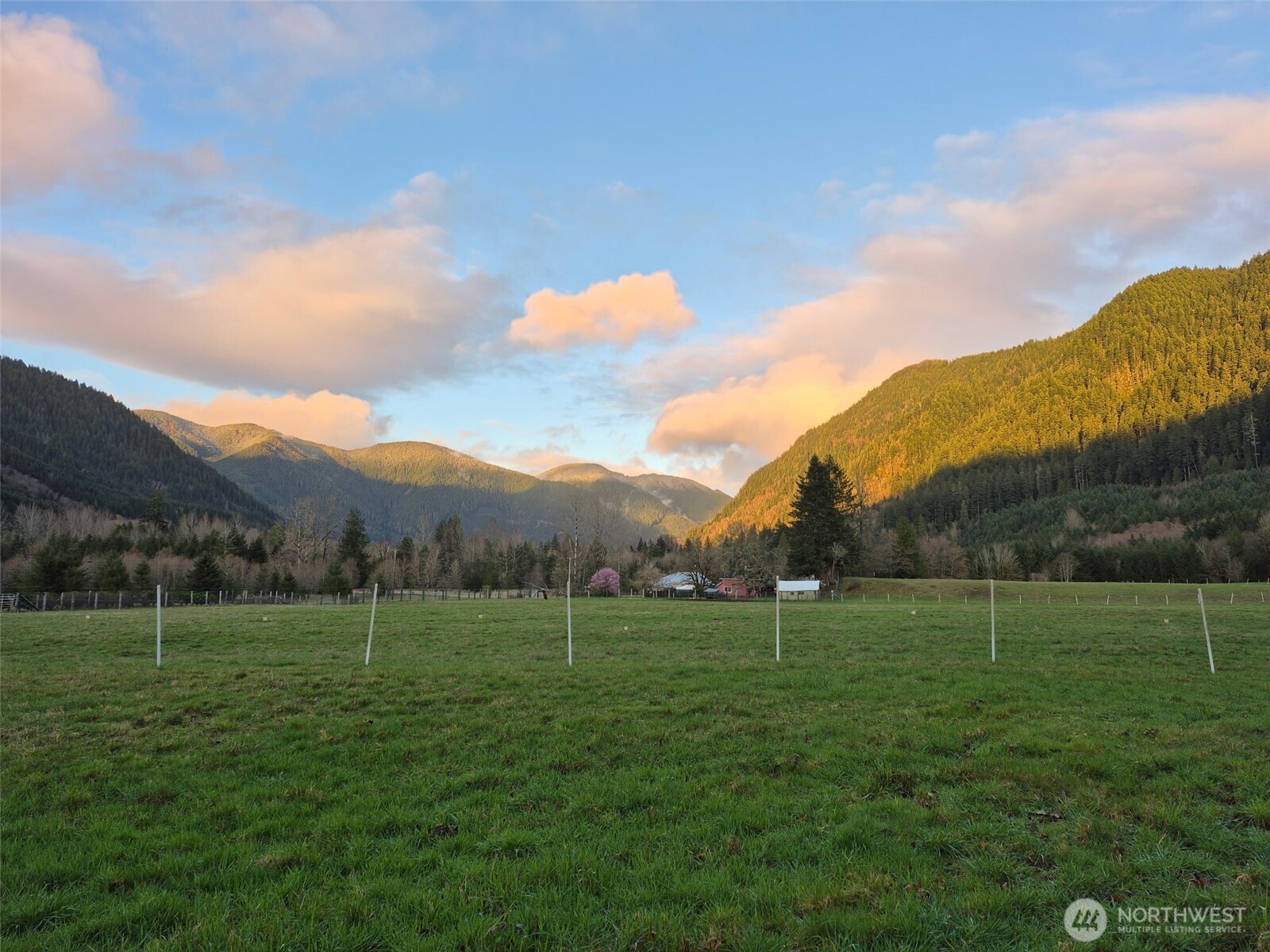 296 Dodge Road Morton, WA 98356 - Photo 21 of 24 a view of grassy field with mountain