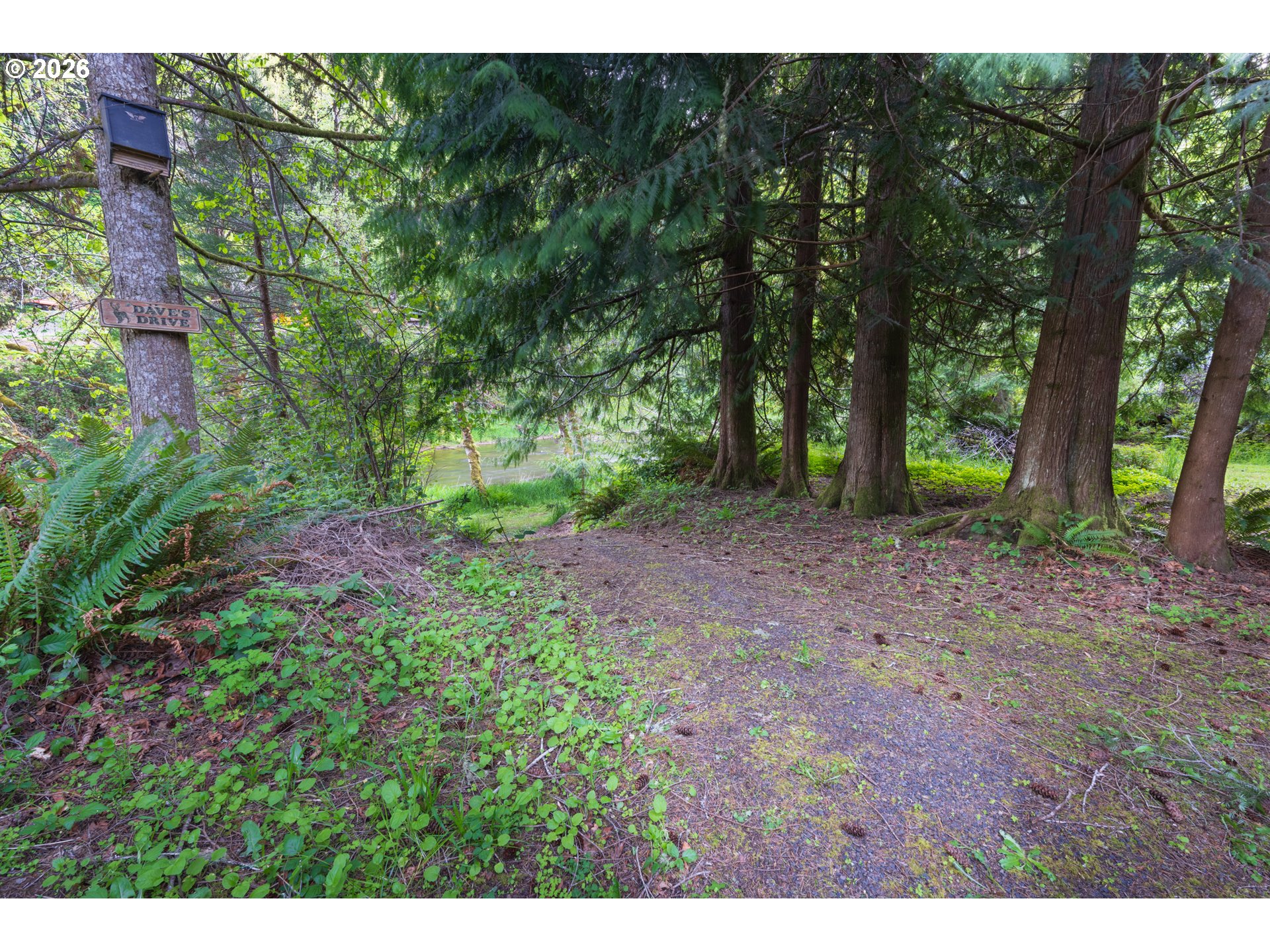 8214 Rose Valley Road Kelso, WA 98626 - Photo 2 of 10