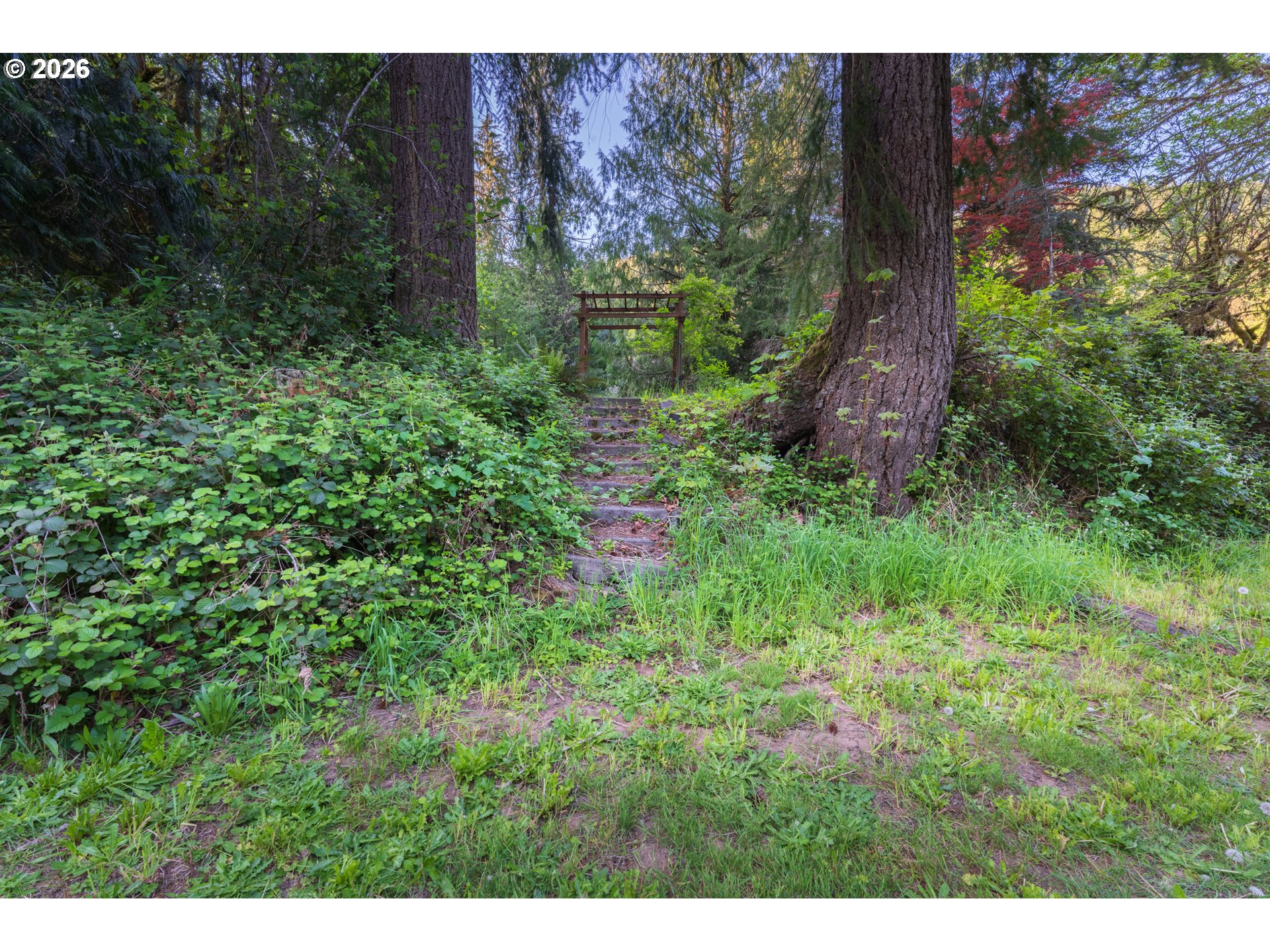 8214 Rose Valley Road Kelso, WA 98626 - Photo 4 of 10