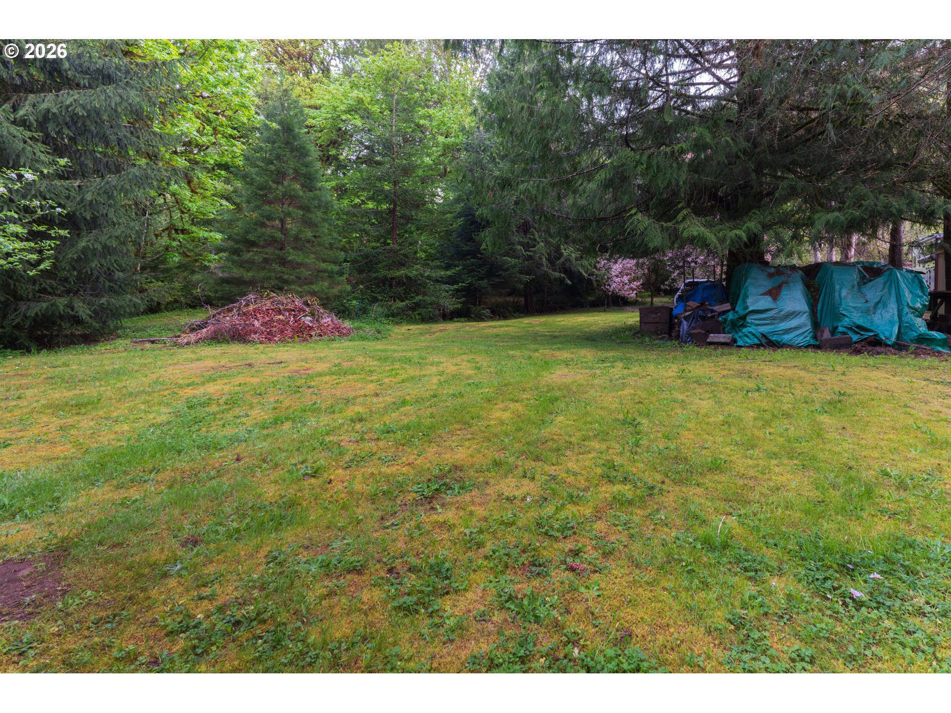 8214 Rose Valley Road Kelso, WA 98626 - Photo 8 of 10