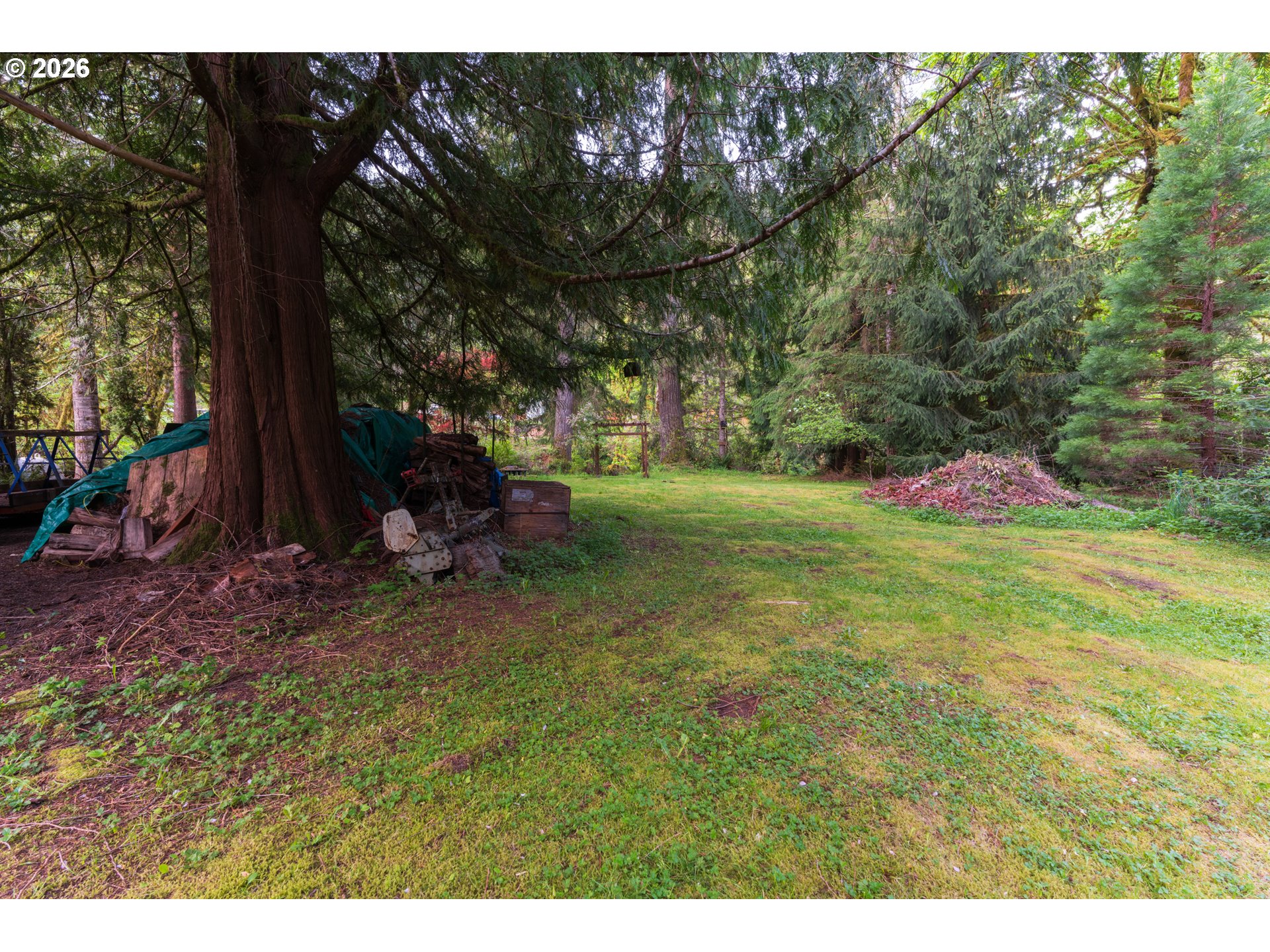 8214 Rose Valley Road Kelso, WA 98626 - Photo 9 of 10