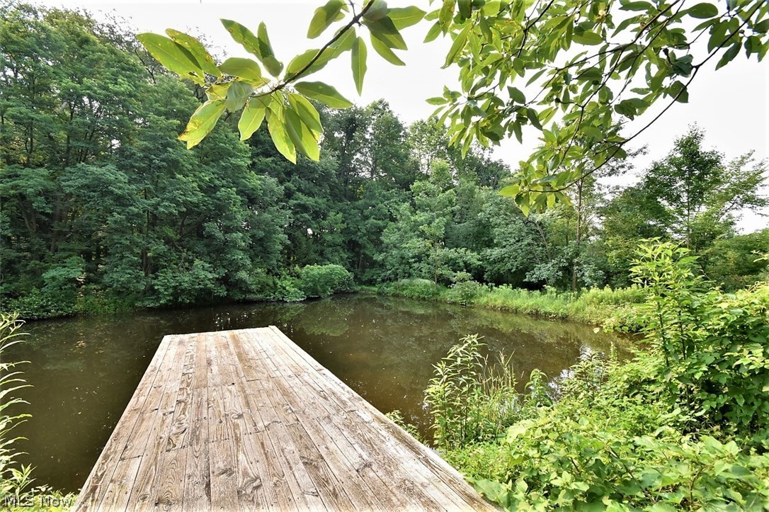 8283 Fairmount Road Novelty, OH 44072 - Photo 26 of 30 Pond