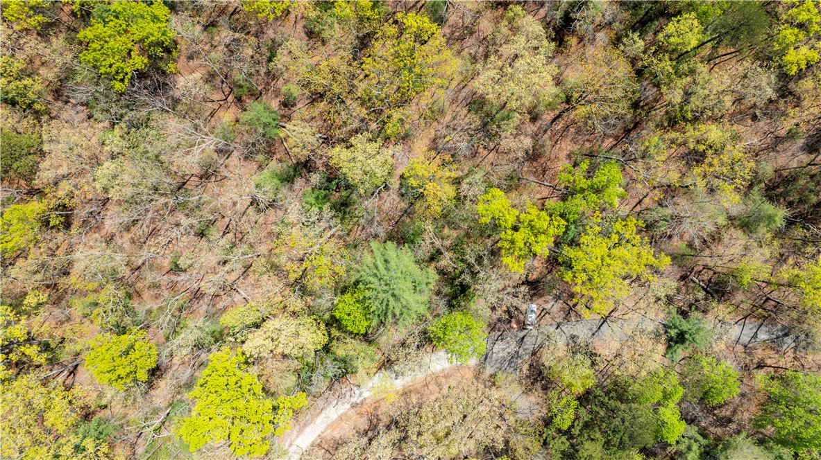 0 Old Turnpike Road Mountain Rest, SC 29664 - Photo 15 of 39 Gallery Image 15