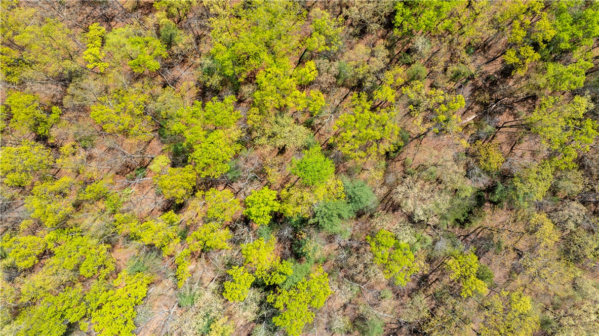 0 Old Turnpike Road Mountain Rest, SC 29664 - Photo 16 of 39 Gallery Image 16
