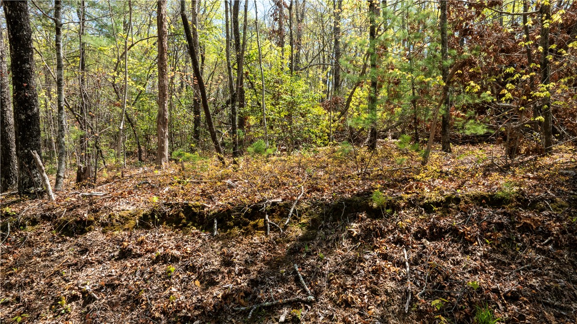 0 Old Turnpike Road Mountain Rest, SC 29664 - Photo 20 of 39 Gallery Image 20