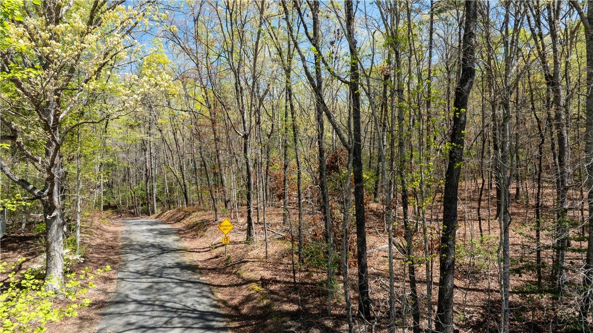 0 Old Turnpike Road Mountain Rest, SC 29664 - Photo 3 of 39 Gallery Image 3