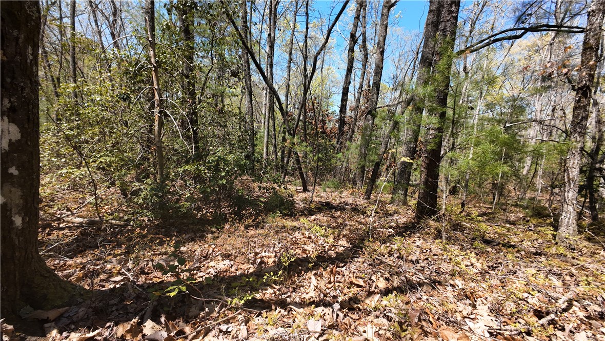 0 Old Turnpike Road Mountain Rest, SC 29664 - Photo 31 of 39 Gallery Image 31