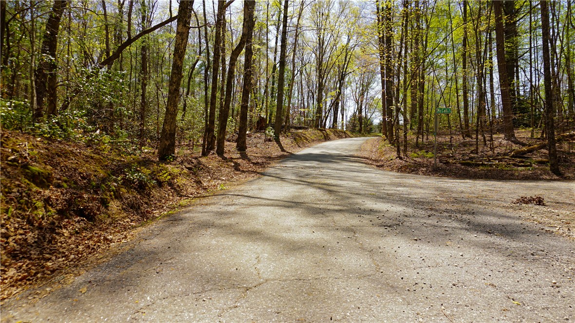 0 Old Turnpike Road Mountain Rest, SC 29664 - Photo 32 of 39 Gallery Image 32