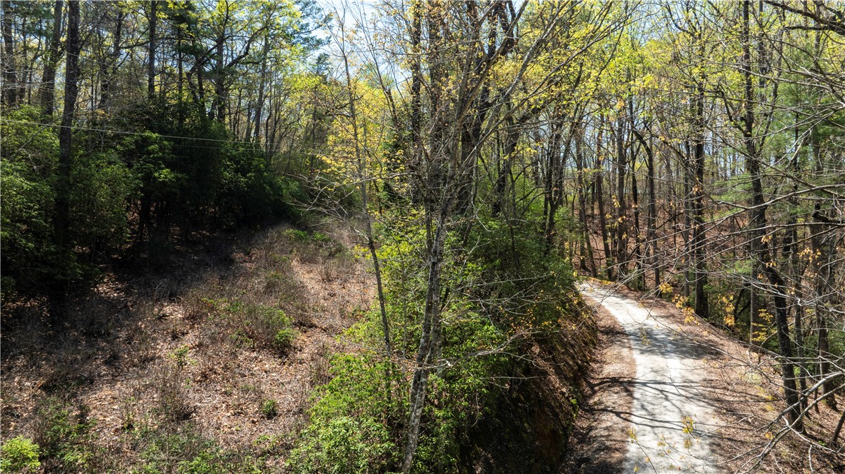 0 Old Turnpike Road Mountain Rest, SC 29664 - Photo 4 of 39 Gallery Image 4