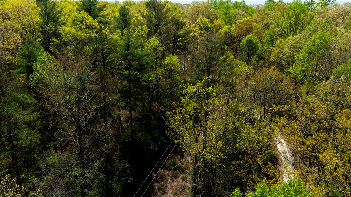 0 Old Turnpike Road Mountain Rest, SC 29664 - Photo 6 of 39 Gallery Image 6