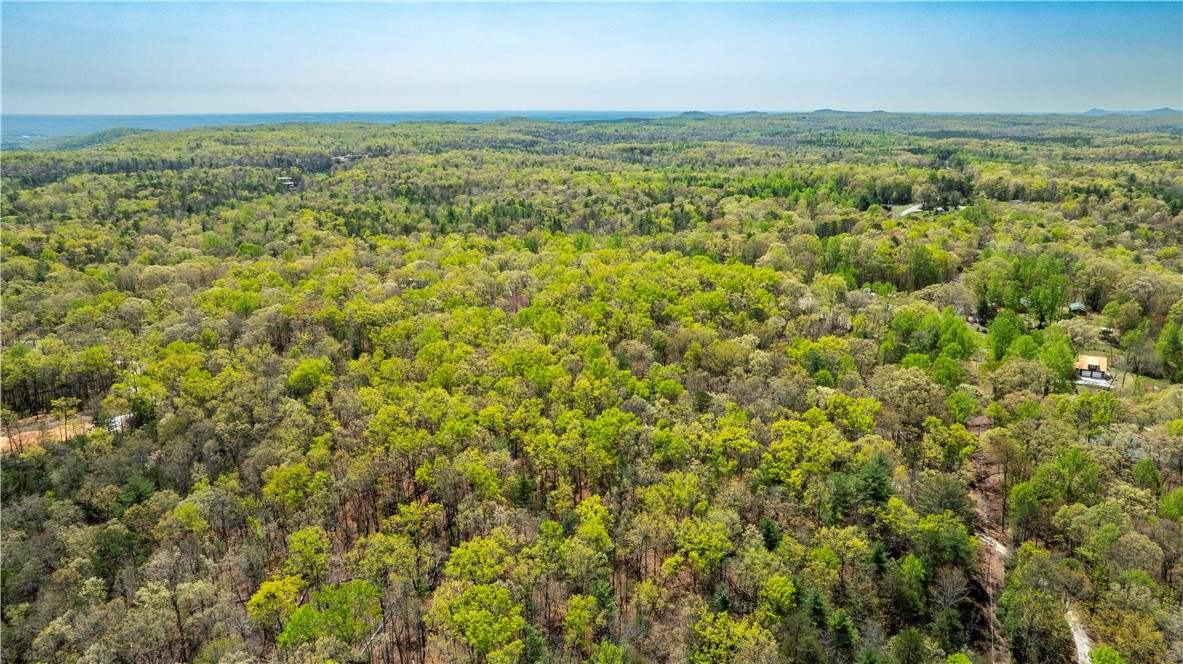 0 Old Turnpike Road Mountain Rest, SC 29664 - Photo 10 of 39 Gallery Image 10