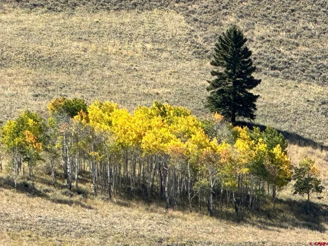 a view of a yard in front of the house